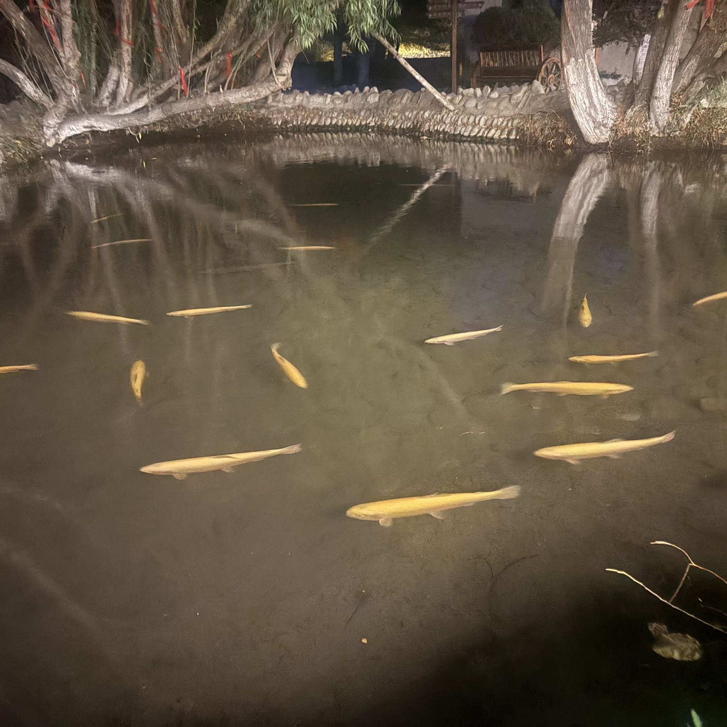 爱哭鬼,爱画画 爱哭鬼,爱画画